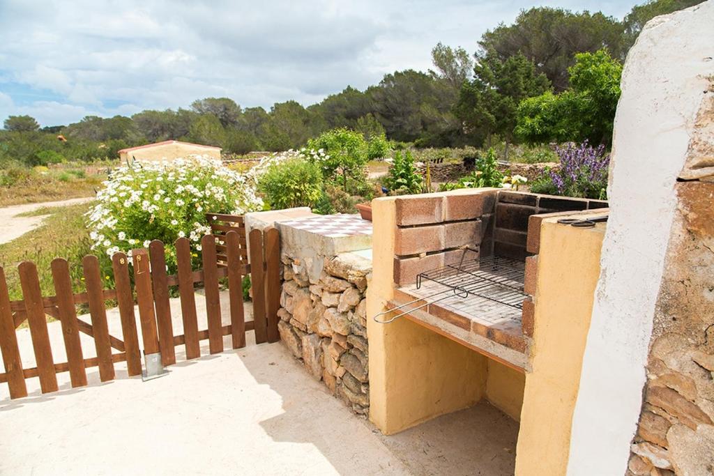 Estudio Cala Saona photo 4