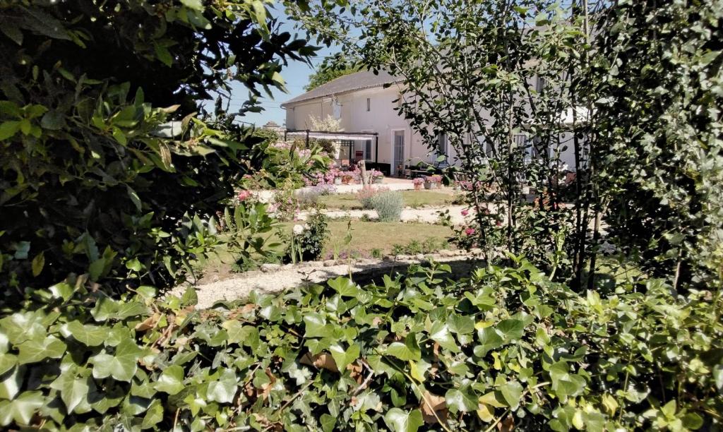 Le Vieux Logis photo 1