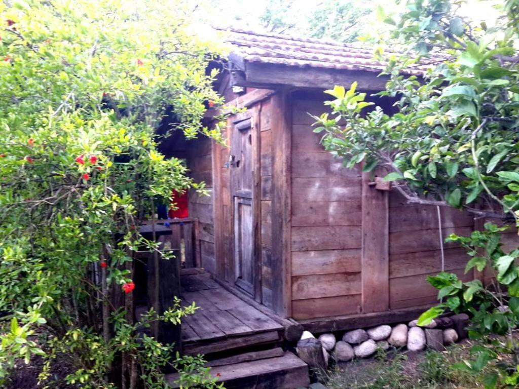 Hane-i Keyif Pension photo 2