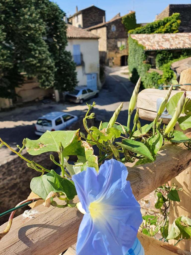 L'Exquishette de Lourmarin, un nid sur les toits. photo 4