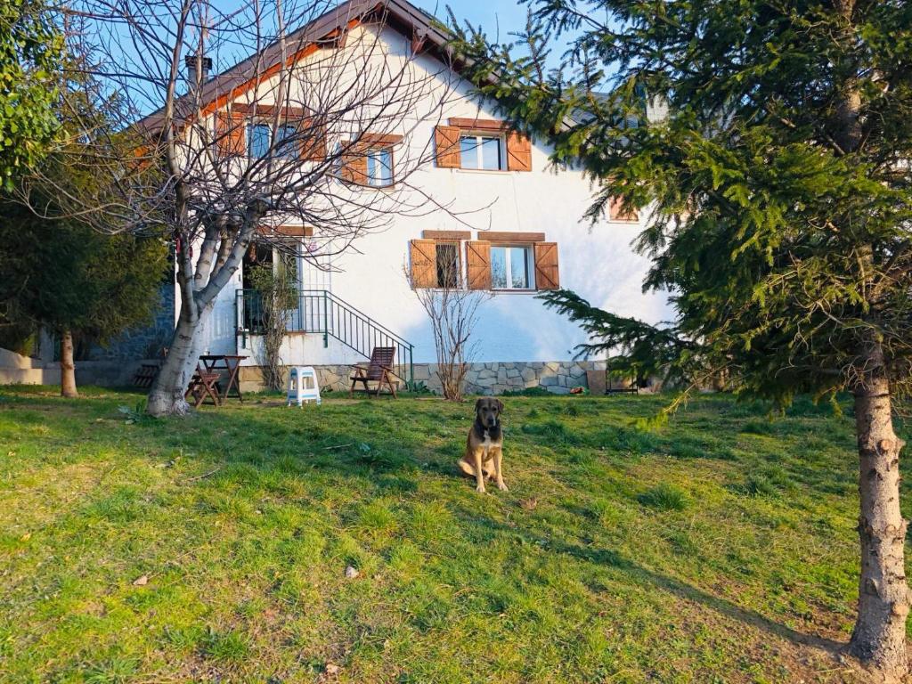 casa con jardín, 4 habitaciones y mucho encanto en cercedilla photo 1