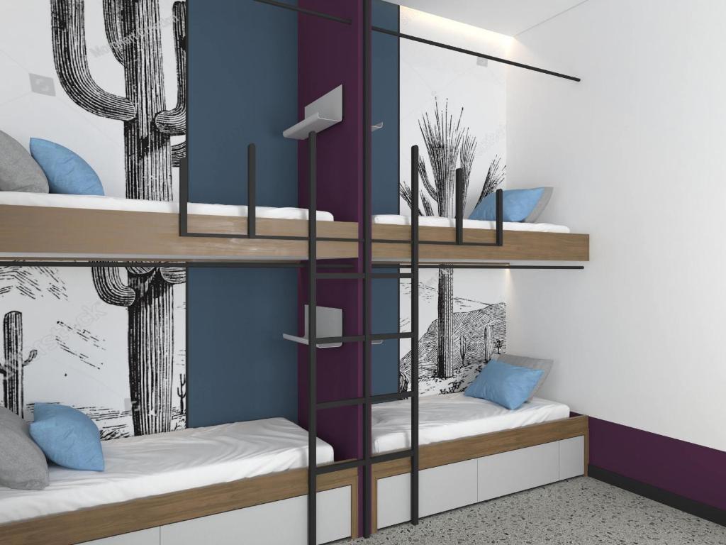 Cocoon City Hostel photo 3