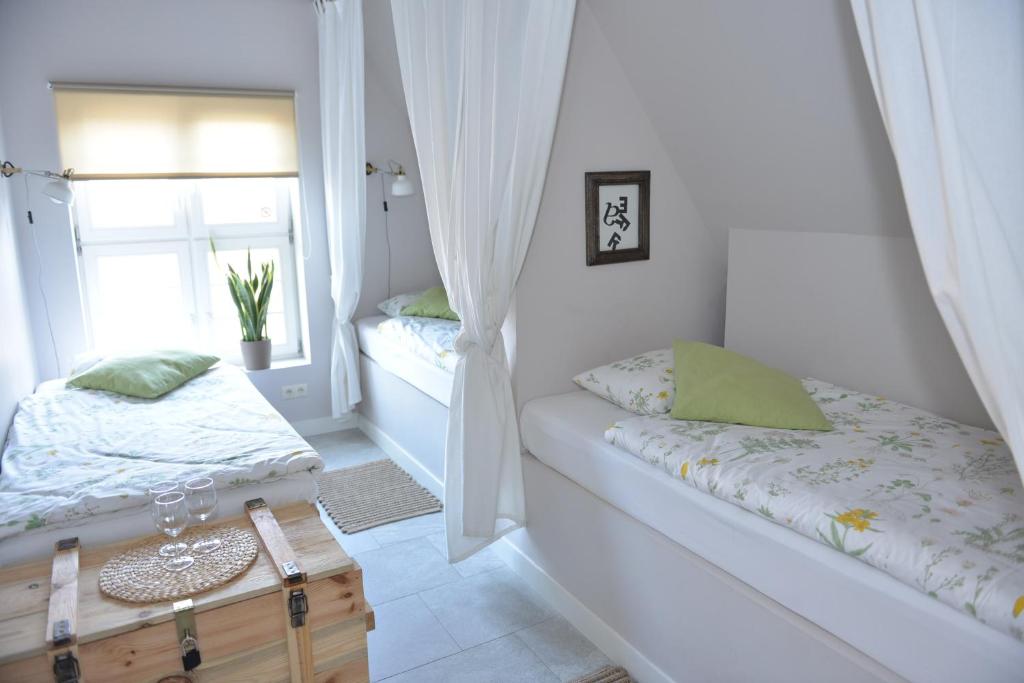 Five Point Hostel & Apartments photo 2