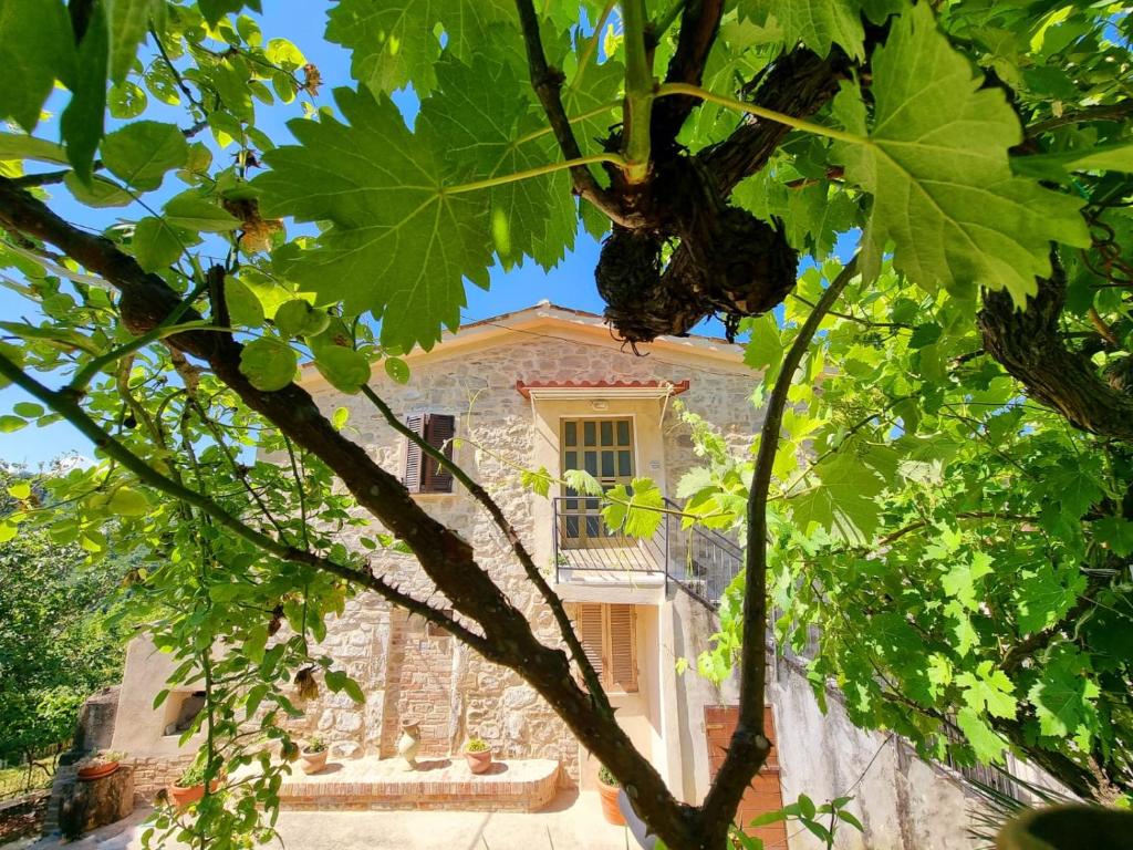 Casa Vacanze Gli Allori photo 2