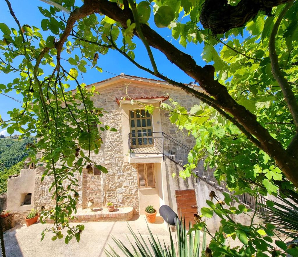 Casa Vacanze Gli Allori photo 4