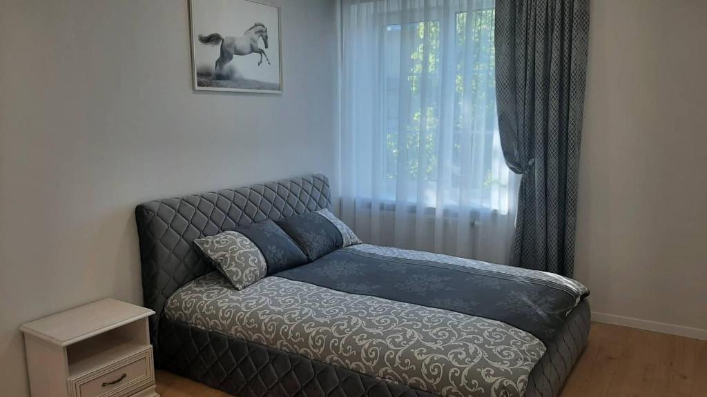 Jaukūs apartamentai centre photo 3