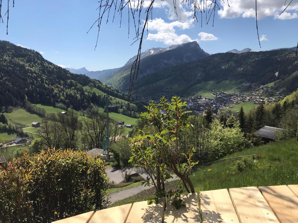 La marmotte qui papote photo 4