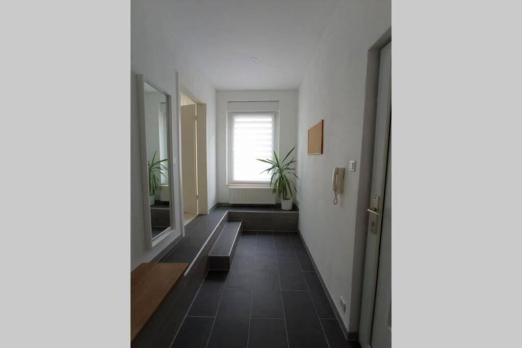 FeWo Zum Schloss photo 1