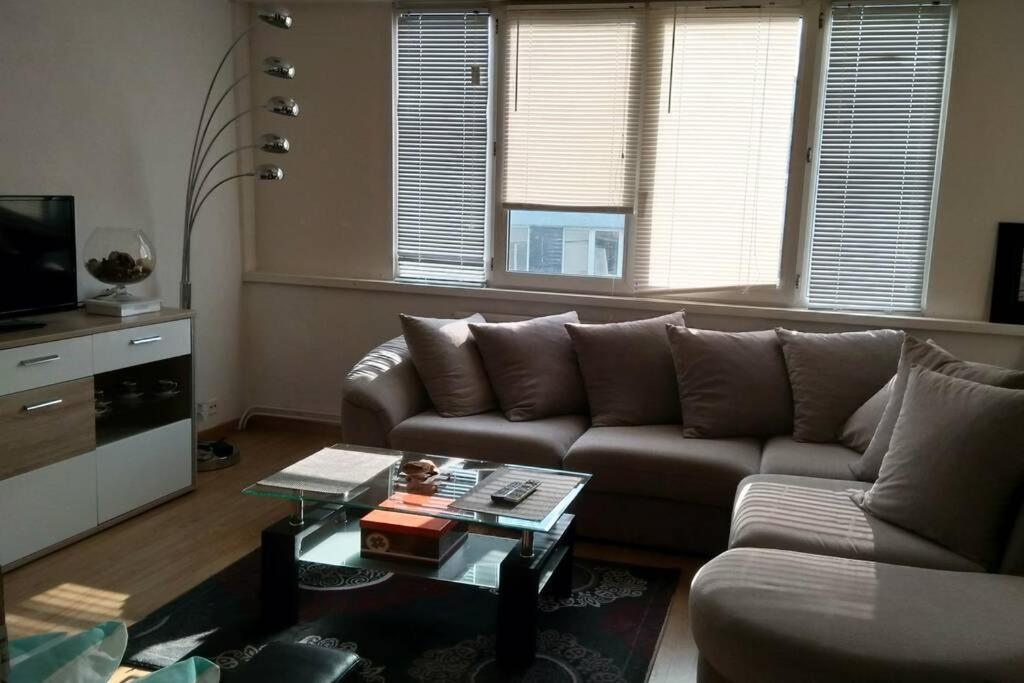 T4 appartement 3 chambres photo 3