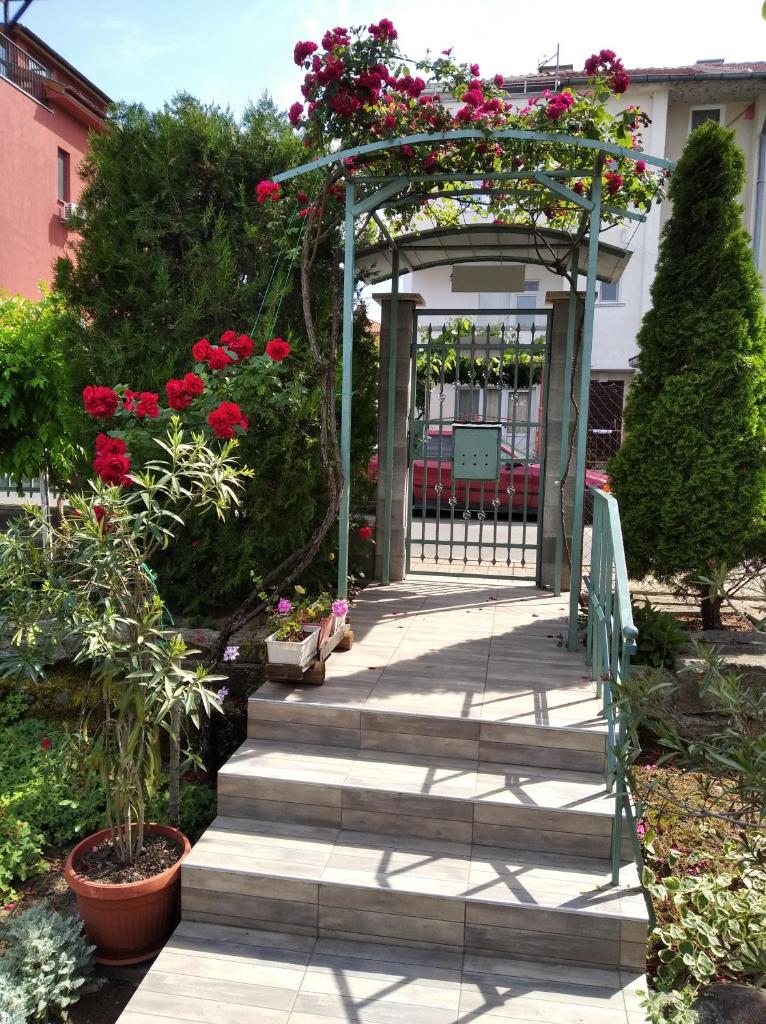 Guesthouse Kolevi photo 4