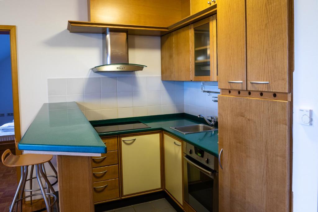 Comfortable apartment in Terme Banovci Spa photo 2