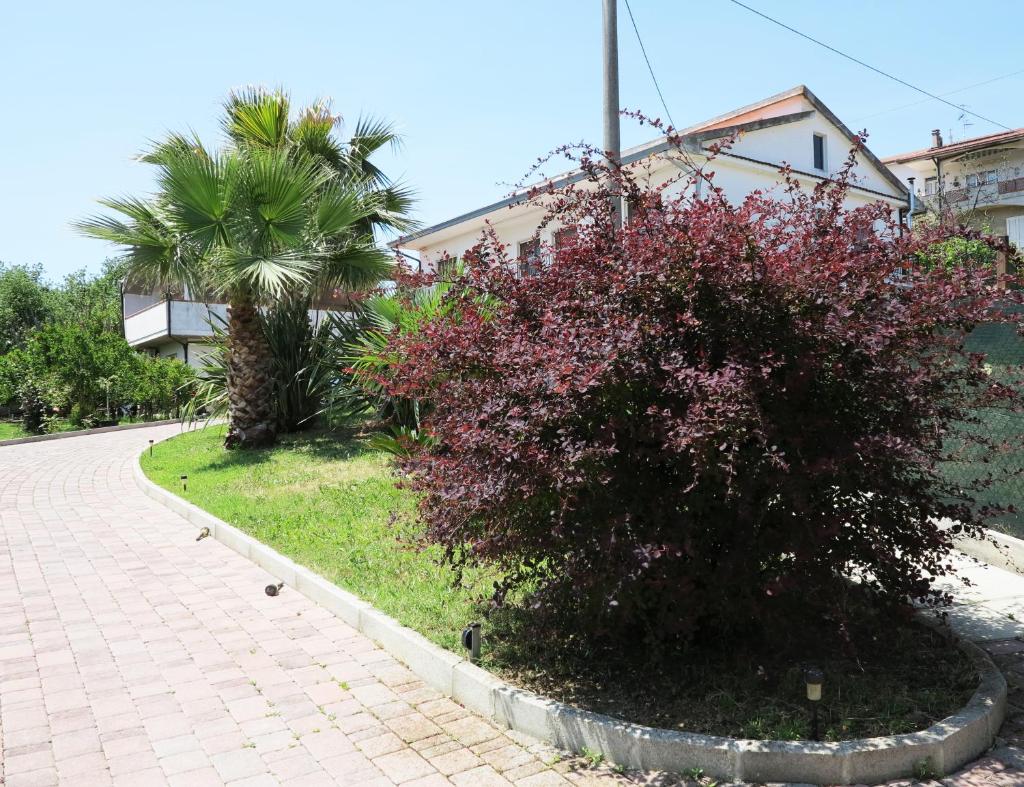 il Riccio B&B photo 1