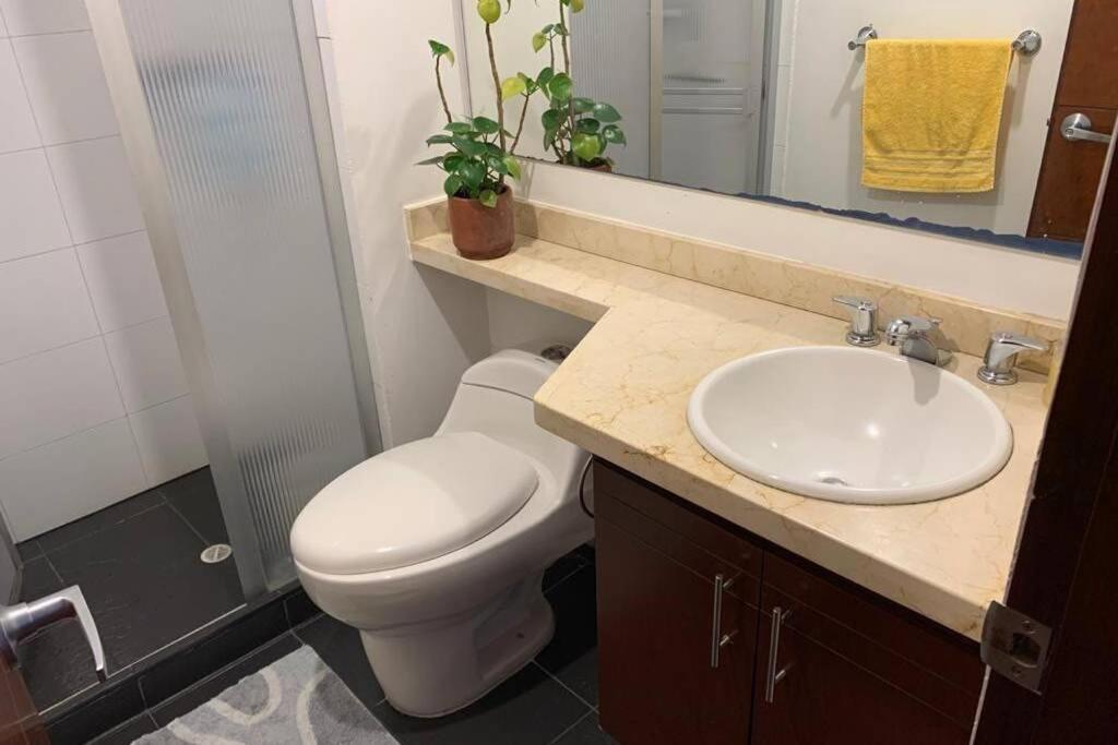 Palermo, Acogedor apartamento en Zona Rosa photo 3