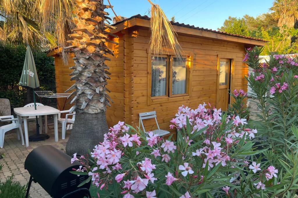 Chalet belle vue, jacuzzi, piscine, terrasse, climatisé photo 2