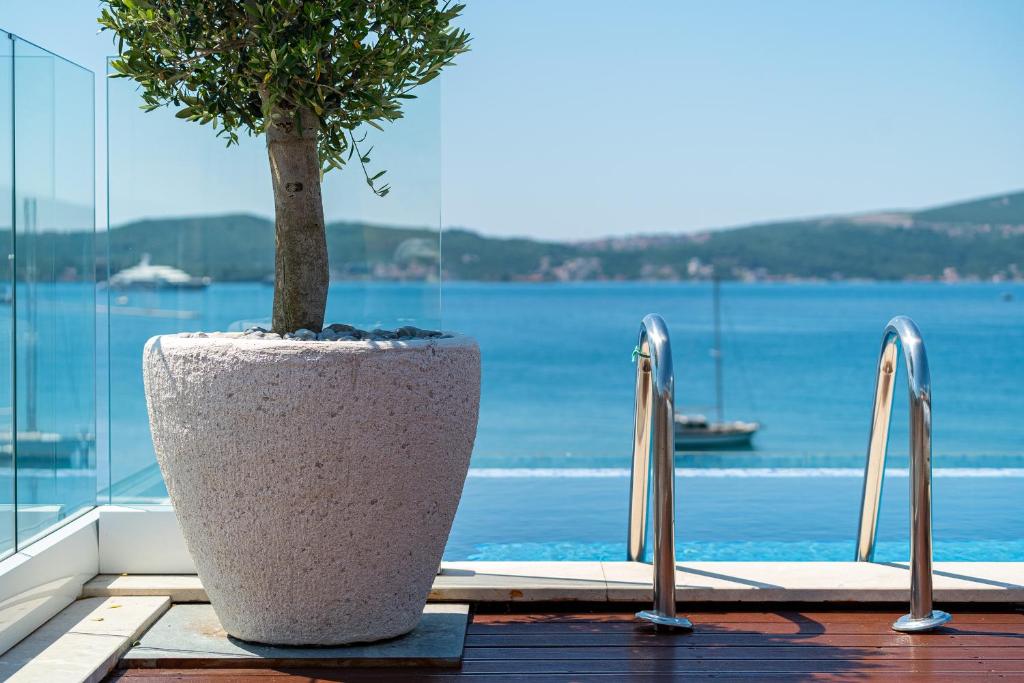Elysium Tivat photo 4