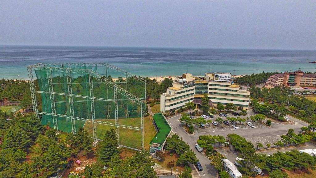 BENIKEA San&Bada Jumunjin Resort photo 1