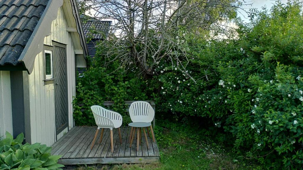 Lilla mysstuga i havsnära photo 3
