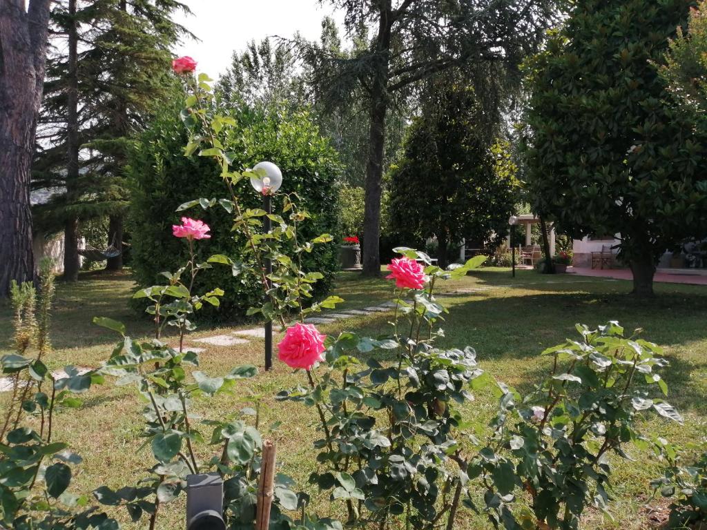 Villa Oasi photo 4