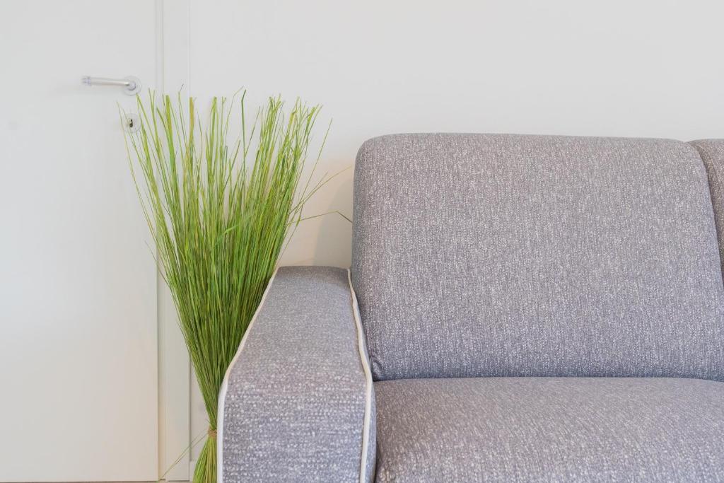 Acqua Chiara Apartment by Rent All Como photo 4