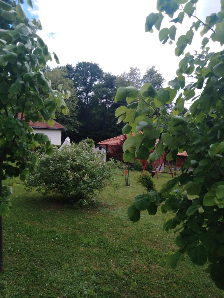 Etno domacinstvo Stankovic apartman br 2 photo 3