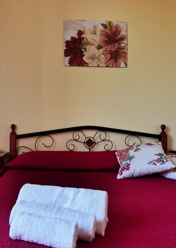 Casa Azalea photo 1