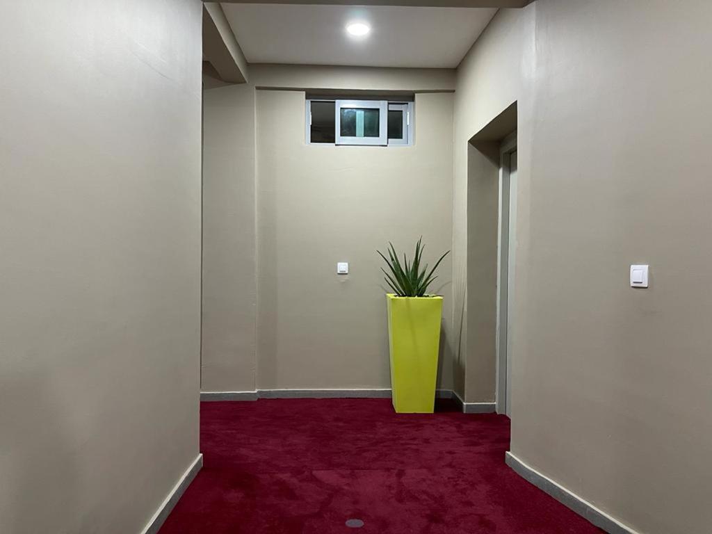 RESIDENCE SYCOMORE 1 photo 3