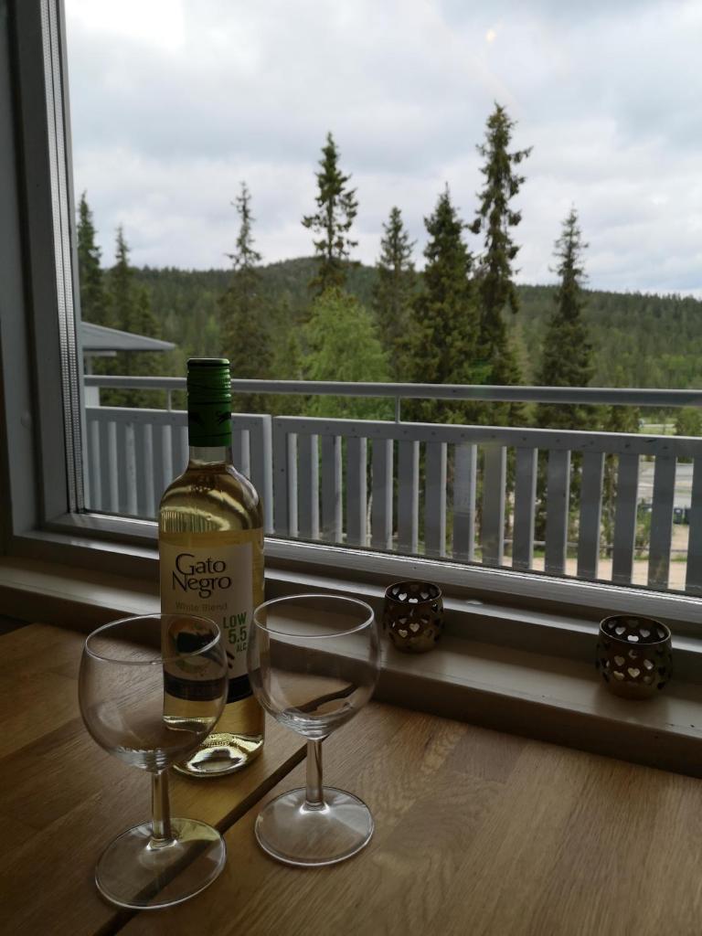 Ruka - Vuosselin Helmi B21 photo 3