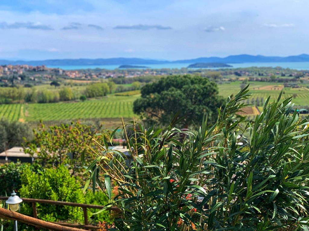 Agriturismo Annibale photo 2