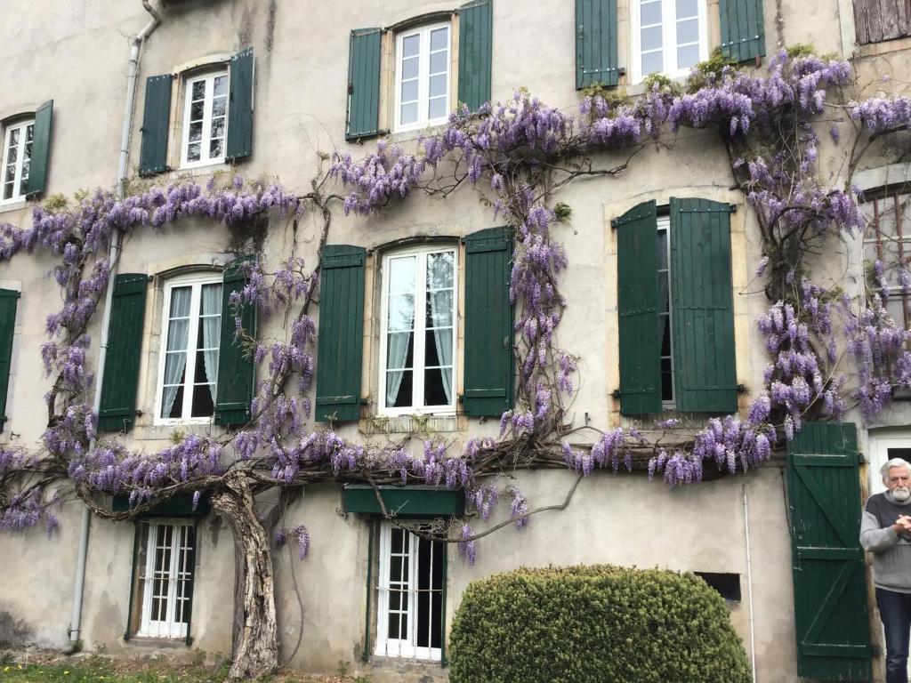 Maison Laclede photo 3