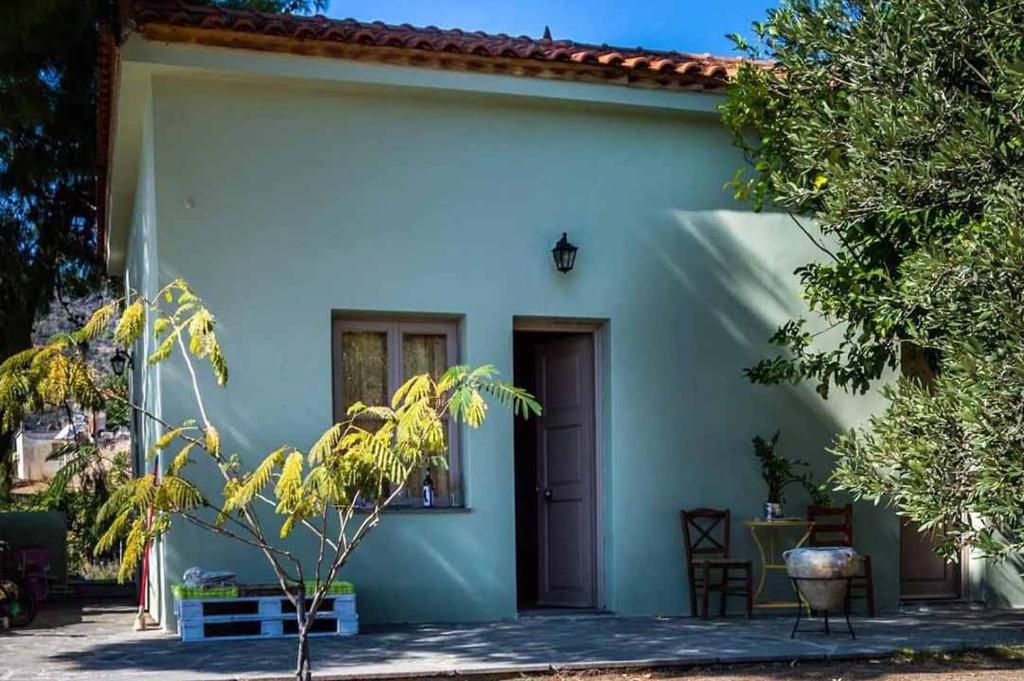 Arsinoe photo 4