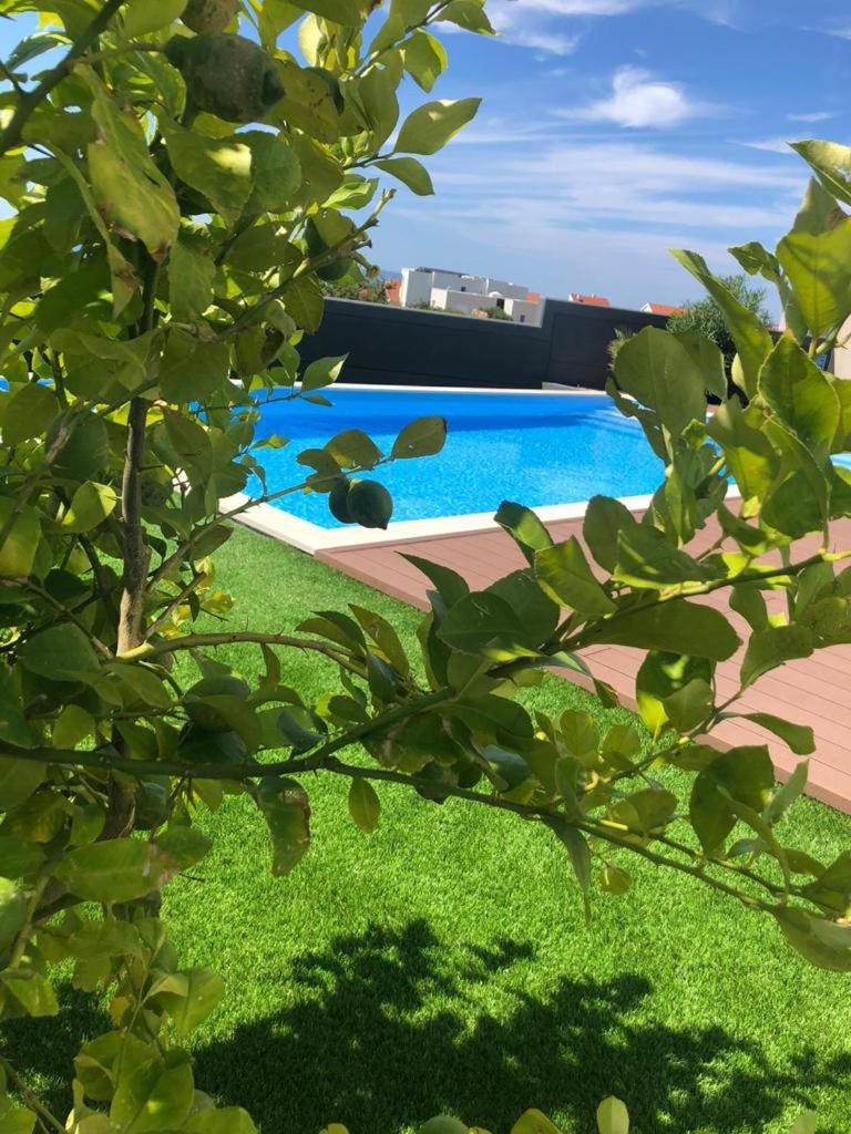 Villa Estate photo 3