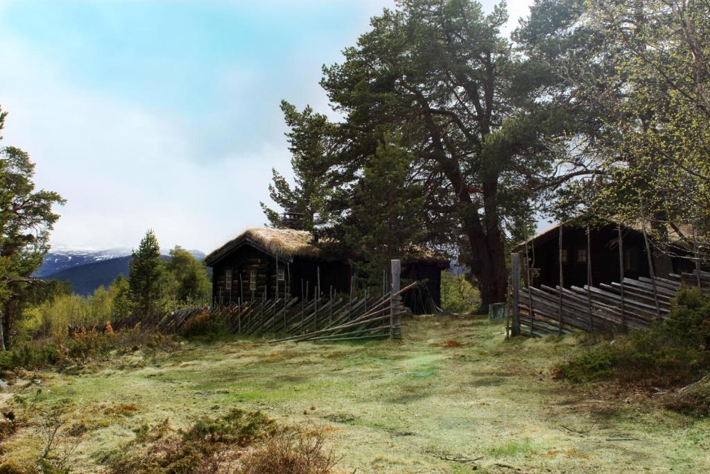 Lusæter Timber Cabins photo 1