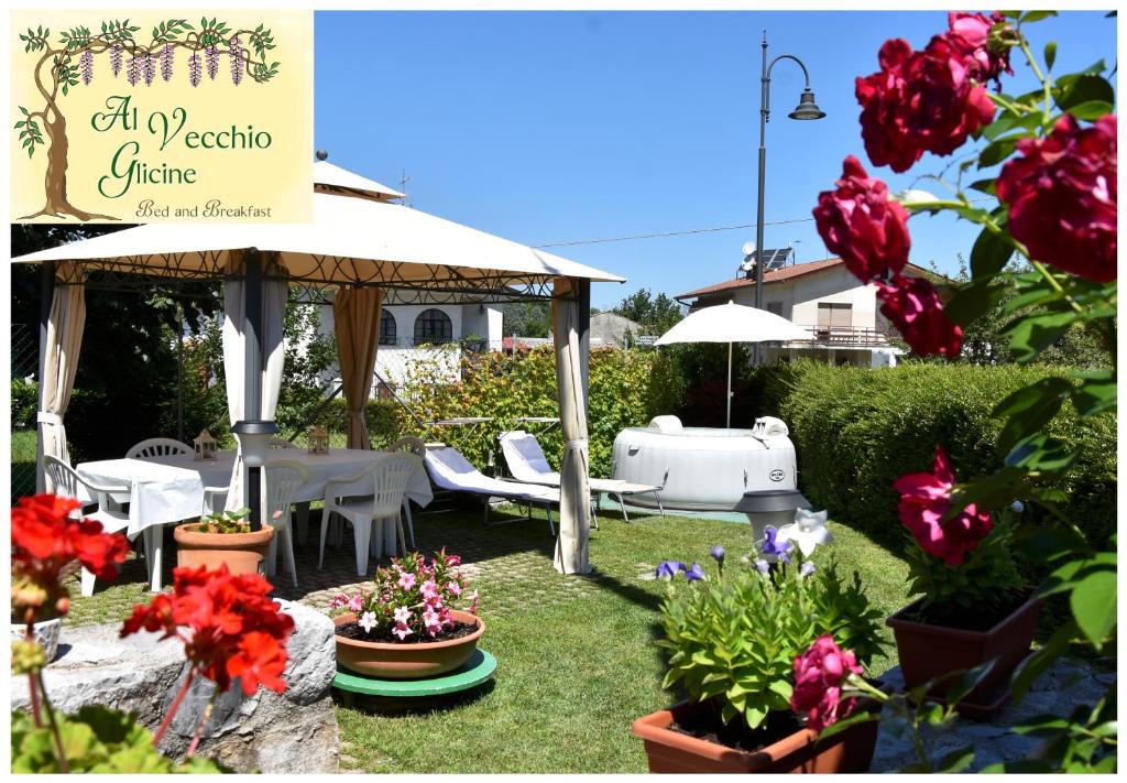 Al Vecchio Glicine photo 1