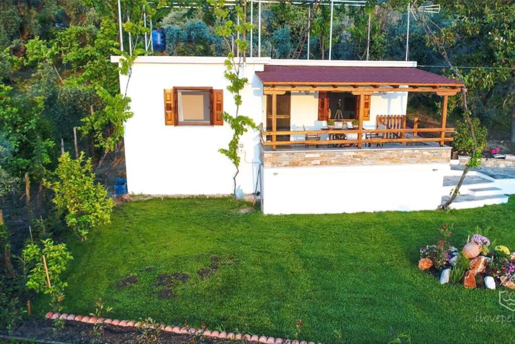 Olivia's Guest House photo 1