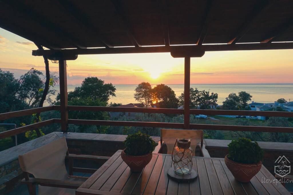 Olivia's Guest House photo 3