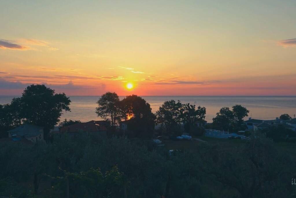 Olivia's Guest House photo 4