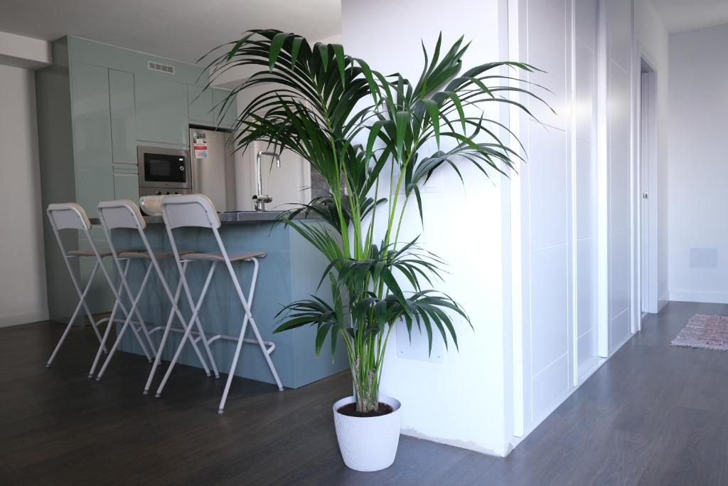 Vivienda vacacional El Cabo photo 4
