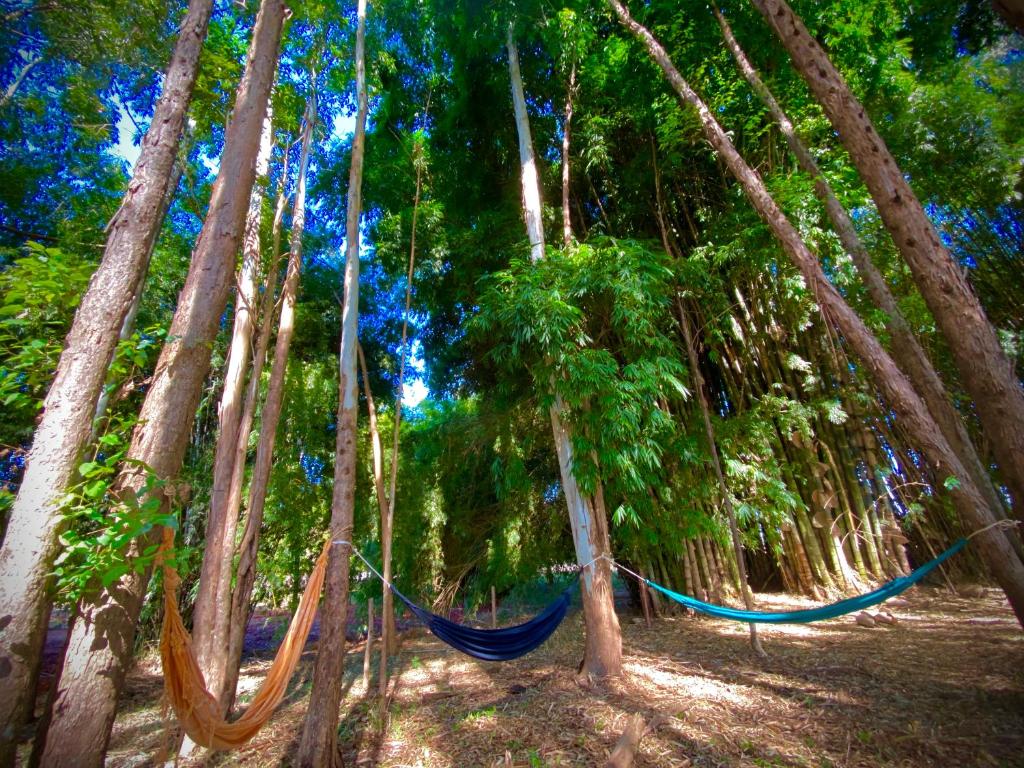 Pousada do Bosque photo 1