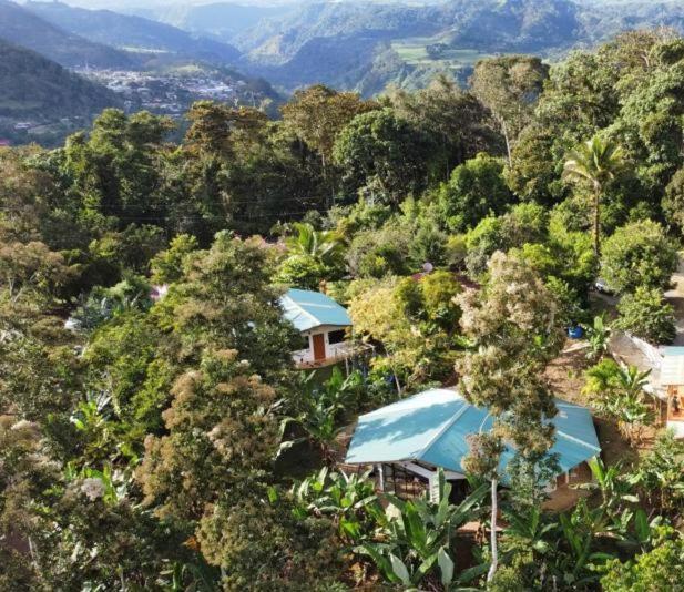 Finca Soley photo 4