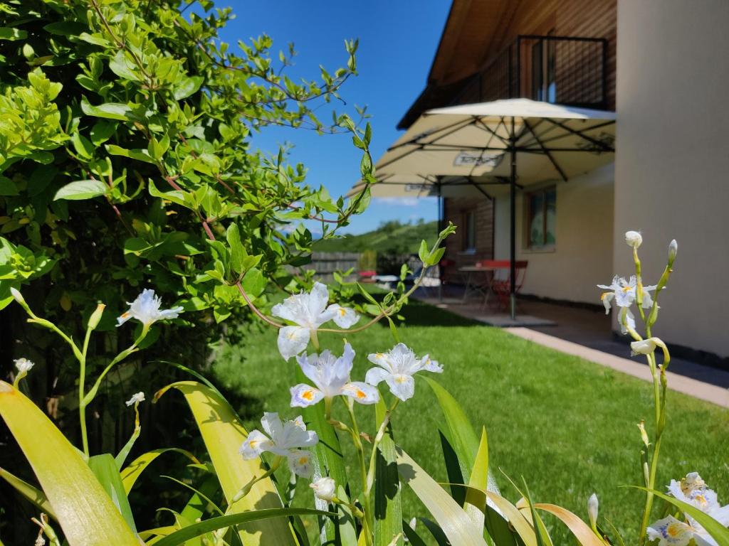 Bio Agritur al Bait photo 3
