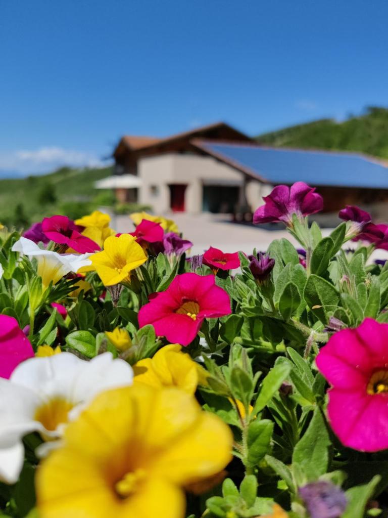 Bio Agritur al Bait photo 1