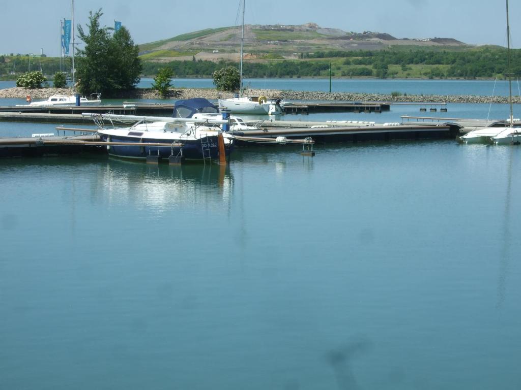 Ferienwohnung am Neuseenland photo 3