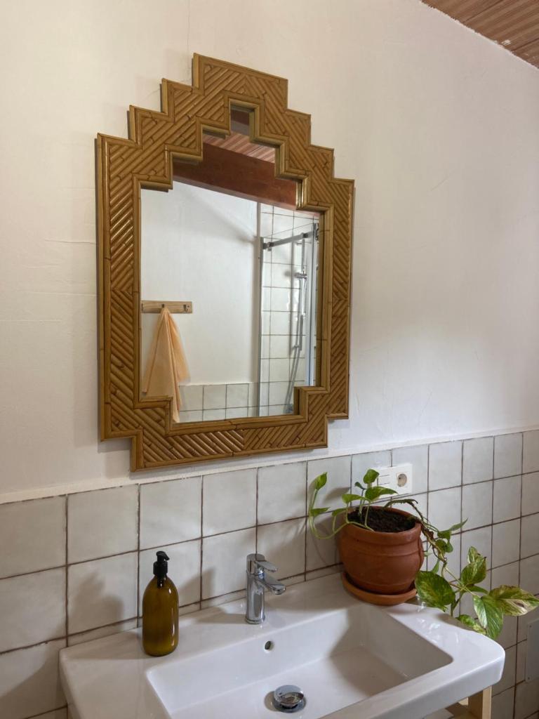 The Wild Olive Andalucía Palma Guestroom photo 1