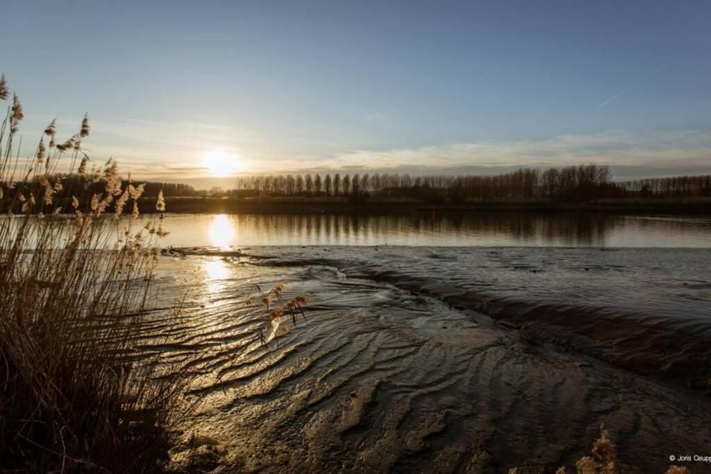 Amand'eau - zwemvijver, zonneterras, grote tuin photo 1