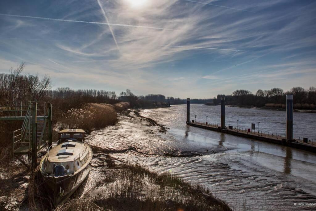 Amand'eau - zwemvijver, zonneterras, grote tuin photo 4