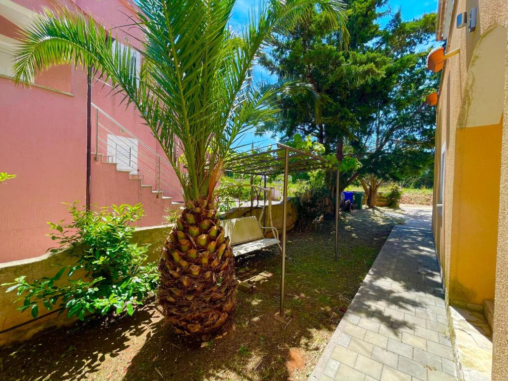 Apartments Vitalia photo 1