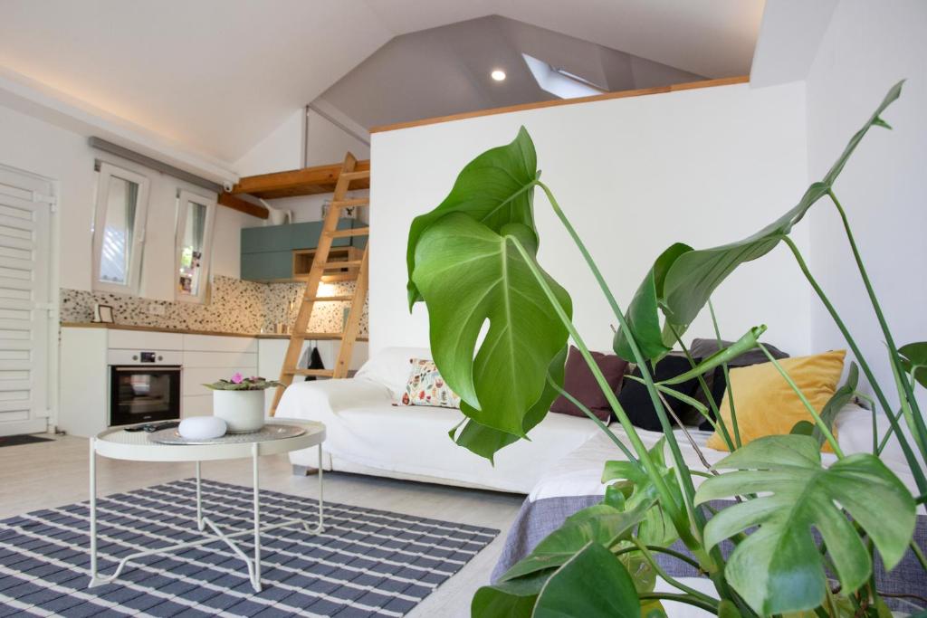 River house Grana photo 2
