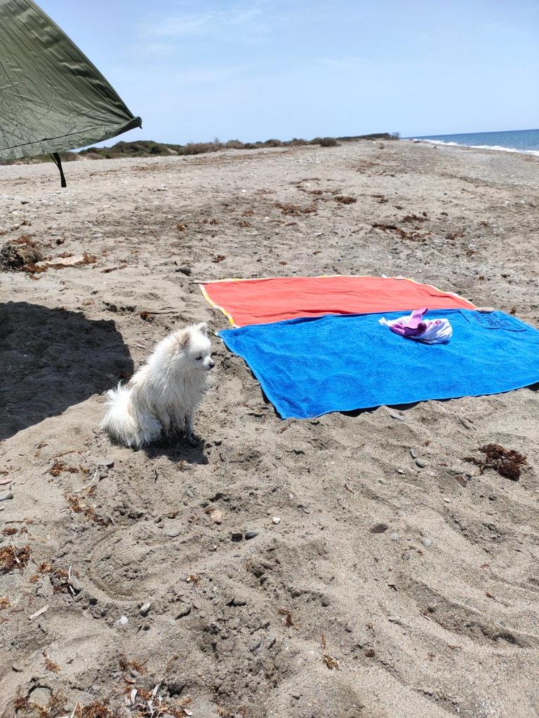 Apartamento Puerto Deportivo Almerimar photo 1