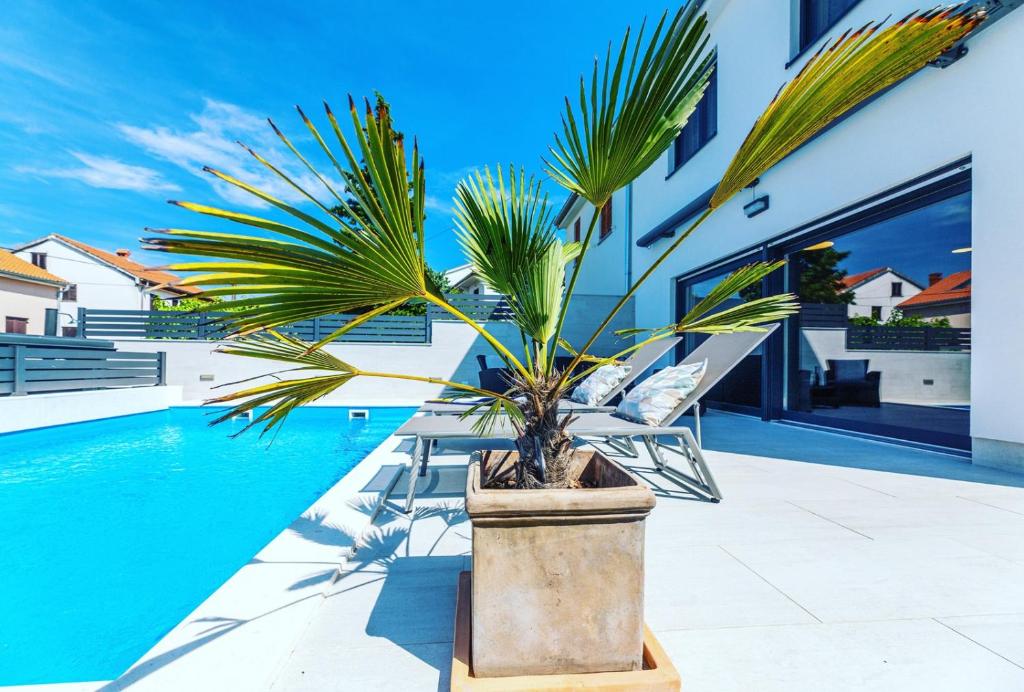 Villa Mondo Adria photo 2