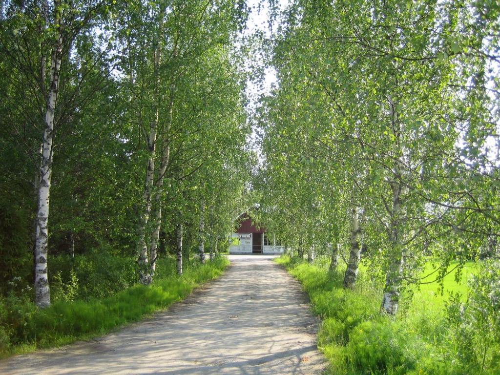 Rauhalan kievari photo 1